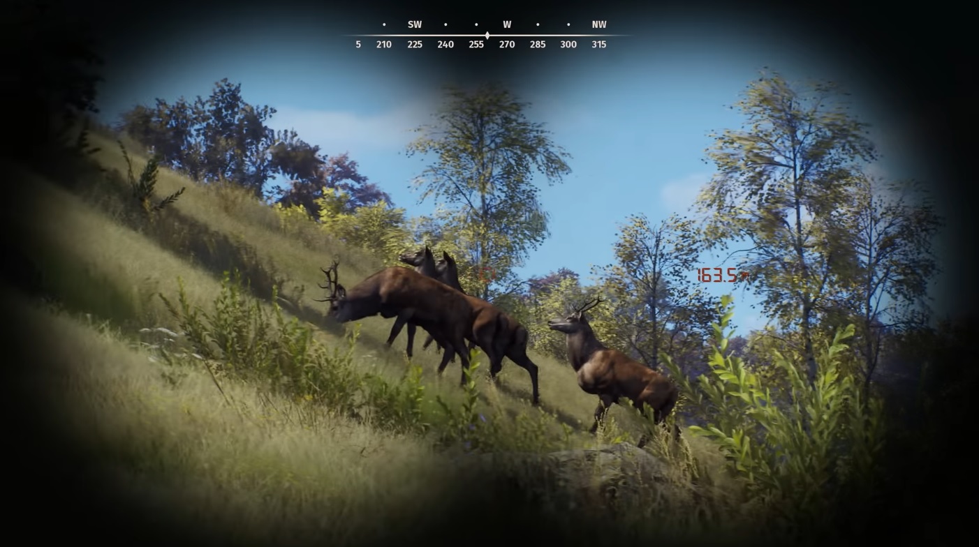 Way of the Hunter Review Roundtable CoOp