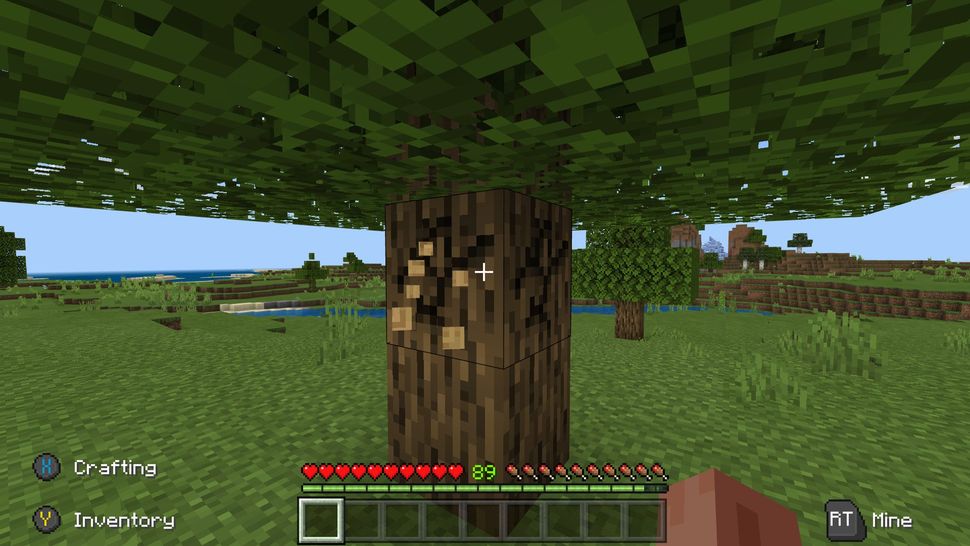 Minecraft