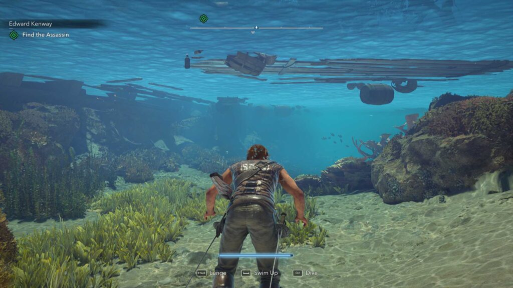 Assassin's Creed Black Flag Resynced